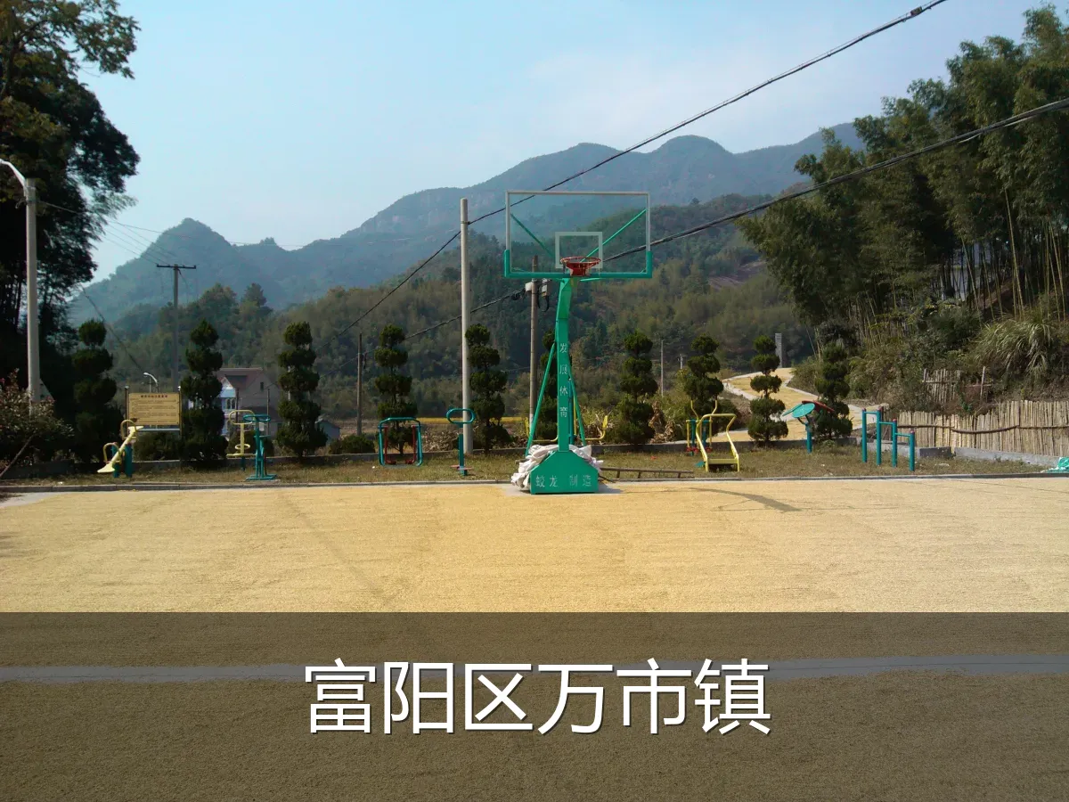 富阳区万市镇