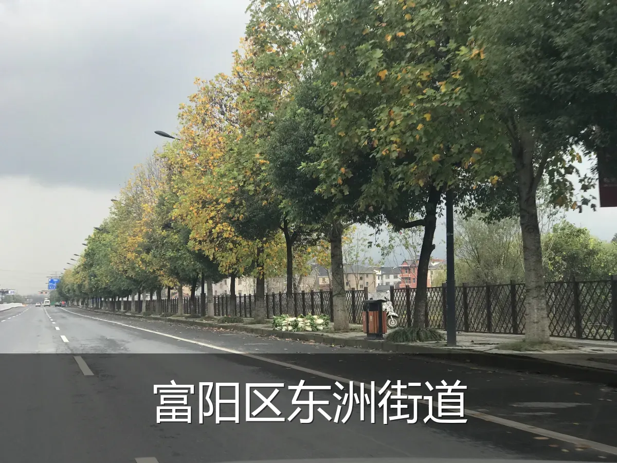 富阳区东洲街道