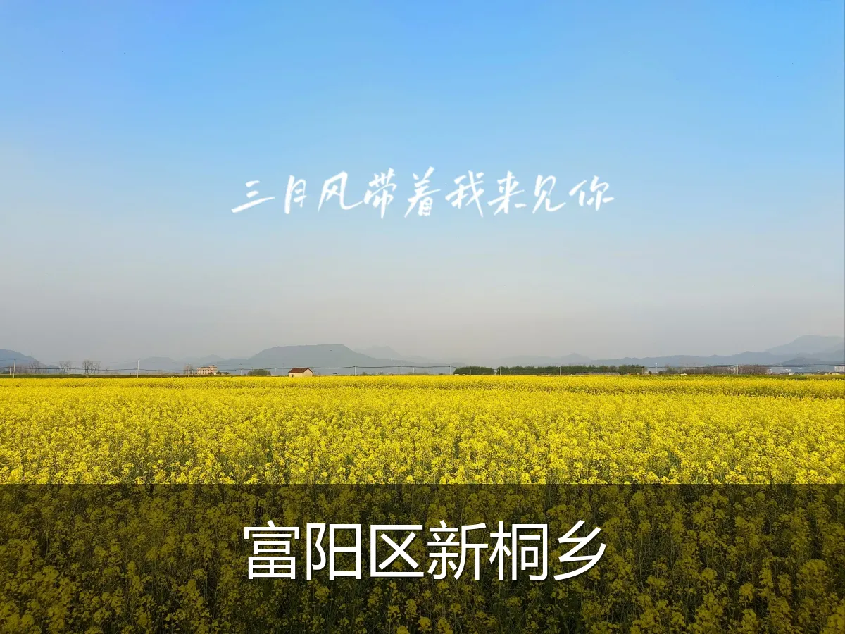 富阳区新桐乡