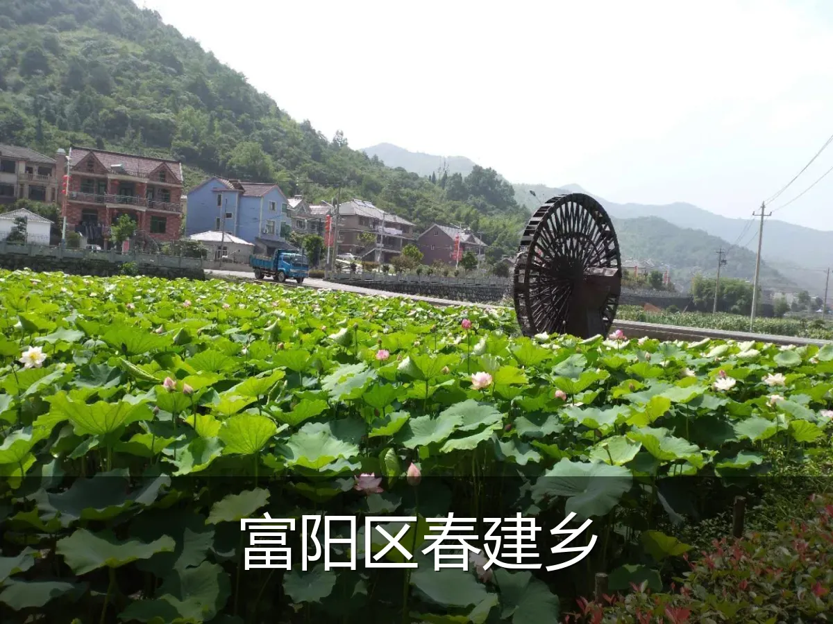 富阳区春建乡
