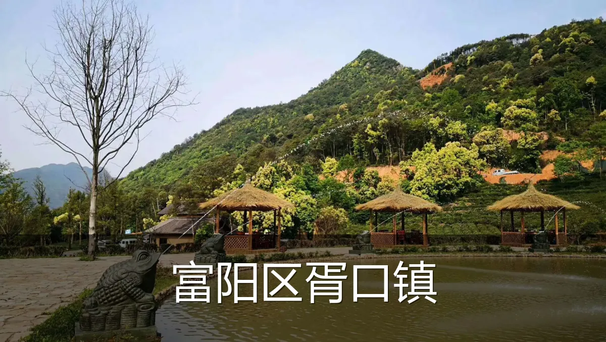 富阳区胥口镇