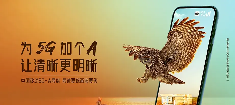 富阳区富阳区洞桥镇 移动宽带